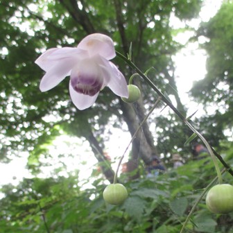 写真11