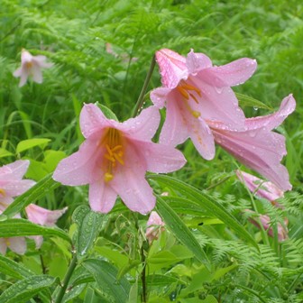 写真3