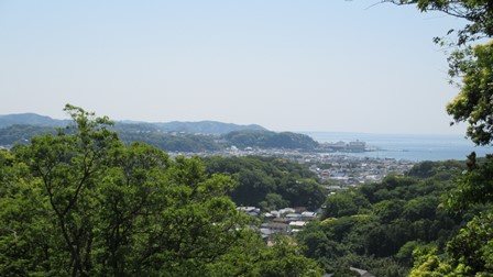 写真7