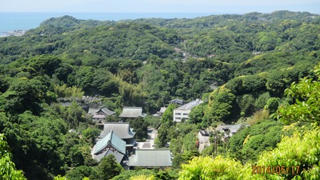 写真8