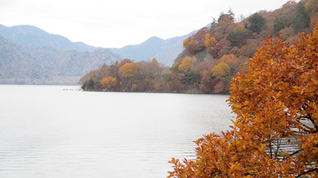 写真3