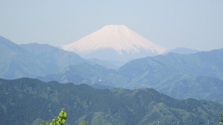 写真1