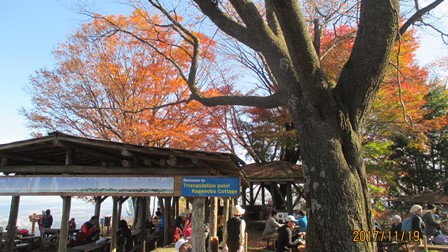 写真4