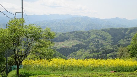 写真9