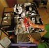 CARCASS_NDTI