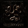 MESHUGGAH_CATCH33