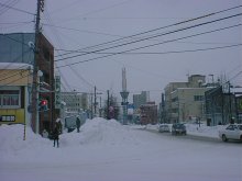 一夜開けて・・・路肩は凄まじいことになってる!
