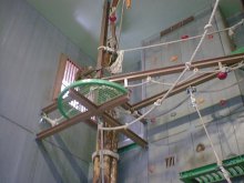 オランウータン・・・流石に綱渡りはしてくれなかった・・・