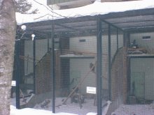 なんか鳥がいたけど、良くわかんなかった