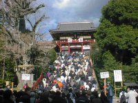 見ろ!人がゴミのようだ!(゚Д゚)