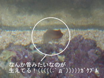 ܂ŐLтzƂᖳ낤IH(߄D;)