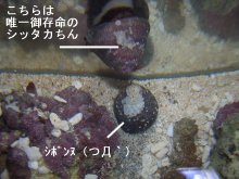 Ɉ炩ɖEEE<(T-T;)!