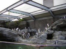 Zoo-ZooL