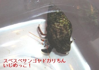 XxXxTShJ