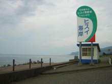 qXCC
