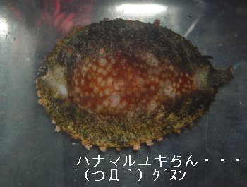 `꒼̃ni}LiDMj
