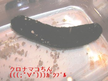 Ni}R