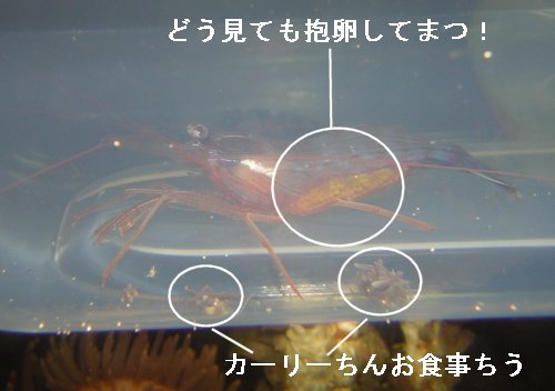 Â[ɂHI