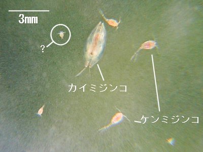 Gr̃~WR