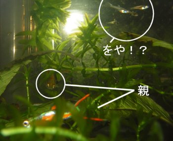 傗tI(߁;)