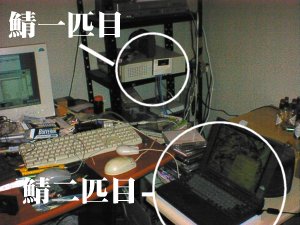 IC