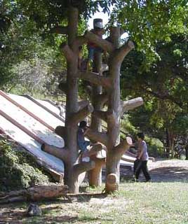 木登り遊具