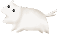 dog.gif