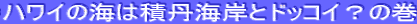 nC̊C͐ϒOC݂ƃhbRCH̊