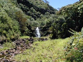 WAIMEA VALLEY