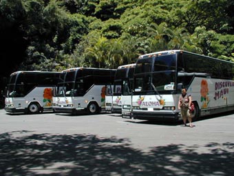 ツアーバス御一向様