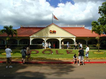 DOLE Pineapple Plantation