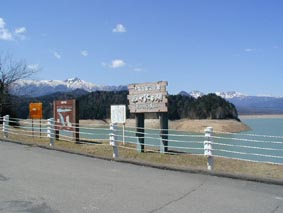 ダム湖とはいえ、水はきれい