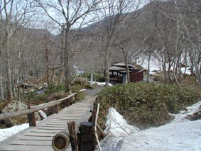 森の中の露天風呂。ホントに熊が出てきそう。。。