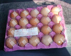 朝取れ「ピータンたまご」20個入りで¥300と格安!