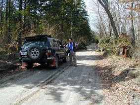 奥地では、立ち木が倒れていたり、かなりダイナミック