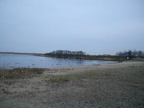 鳥はいたけど、種類判らず(苦笑)