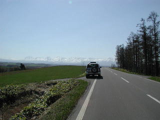 十勝岳方面を望む