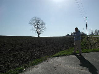 この季節は葉っぱが無くて寂しい