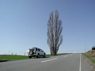 えっ?テラノはだめ?