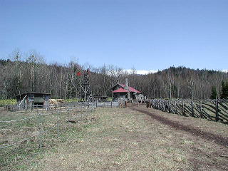 ドラマ調に近寄ってみる