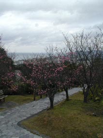 名護城跡から名護市街と名護湾方面を望む