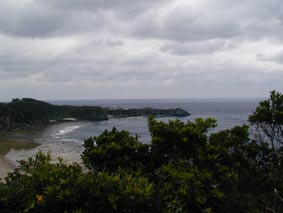 ヤンバルクイナの胸から辺戸岬を望む