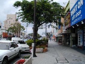 空港通り(ゲートストリート)