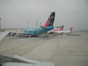 JALの50th塗装機が2機とも那覇に!