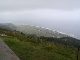 一面に広がる緑の畑は、み〜んな「さとうきび」