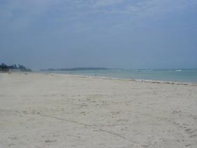 日本の渚100選に選ばれるのも納得の美しさ