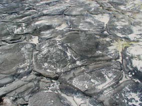 亀の甲羅みたいな畳石