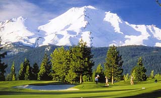 Mt.Shasta Resort