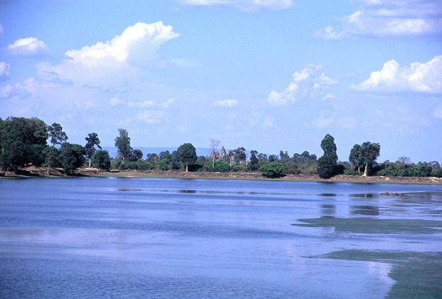 �X���E�X����