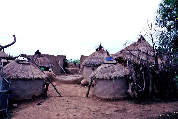 �����̑��̉�